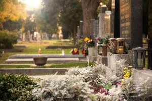 Burial or Cremation?