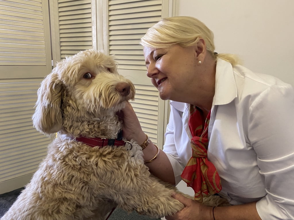 our therapy dog - Archie