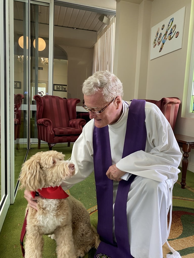 our therapy dog - Archie