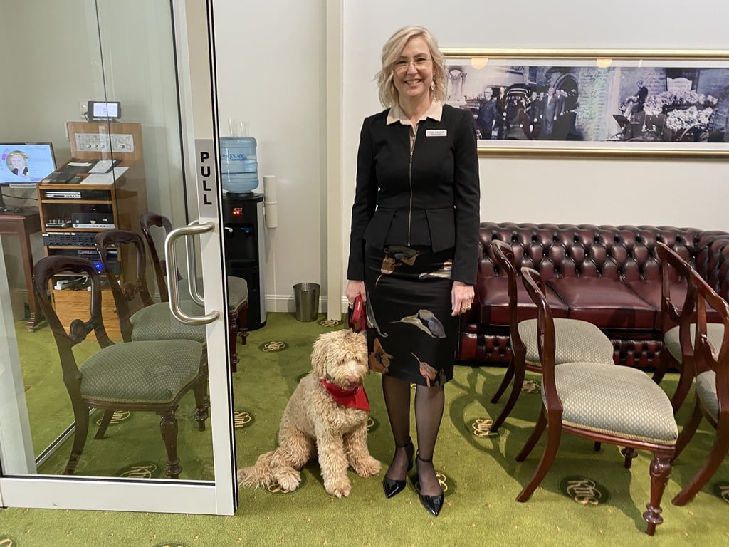 our therapy dog - Archie