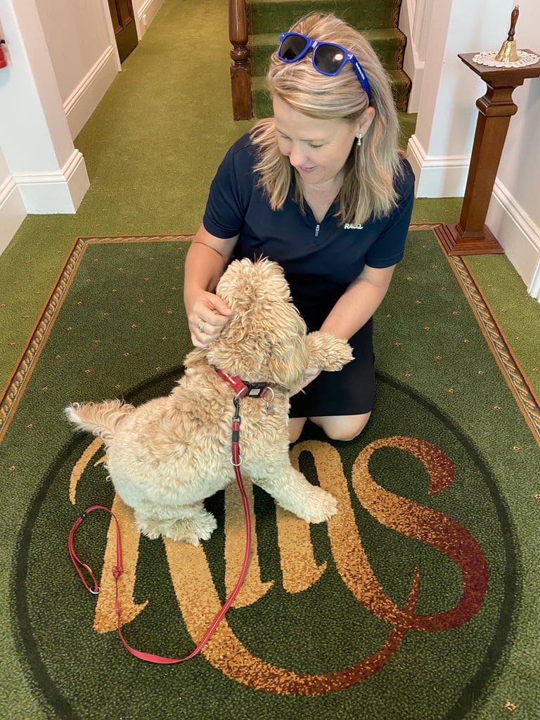 our therapy dog - Archie