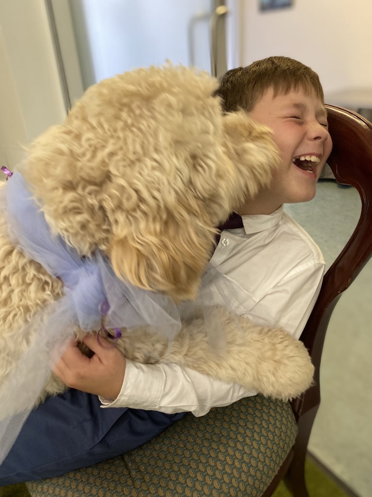 our therapy dog - Archie