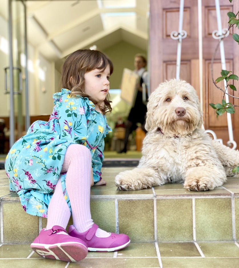 our therapy dog - Archie