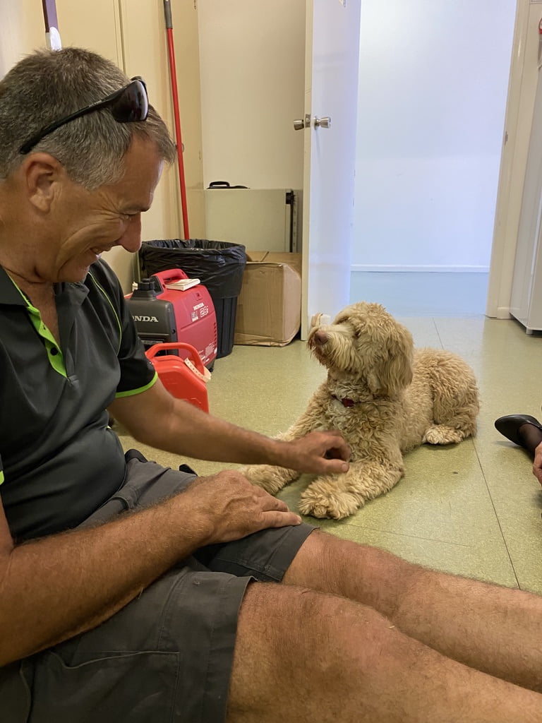 our therapy dog - Archie