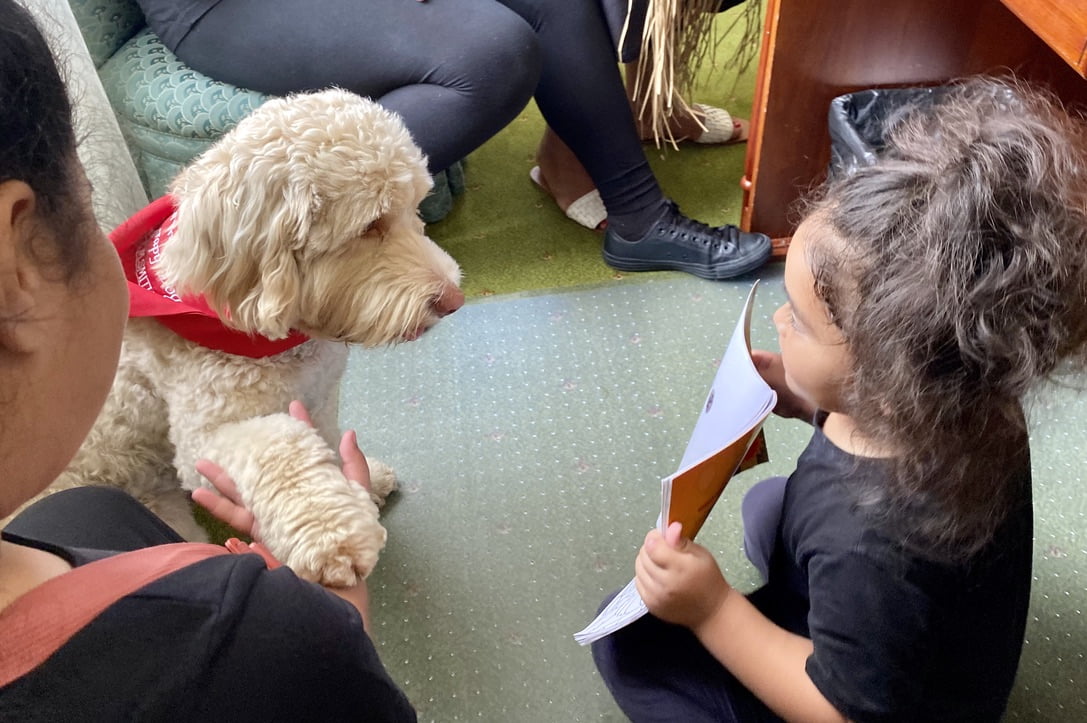 our therapy dog - Archie