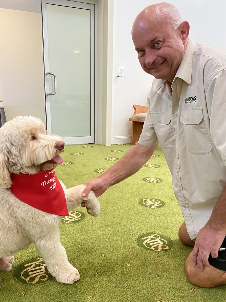 our therapy dog - Archie